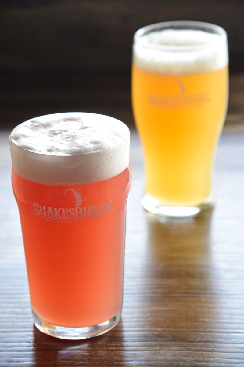 How Hotkhana Media Services Transforms Restaurant Marketing ... Image 11